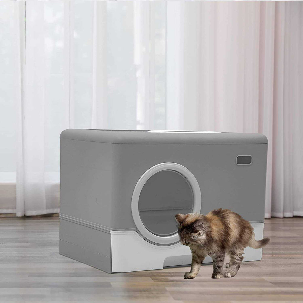 Large Enclosed Cat Litter Box with Lid and Scoop Y365569