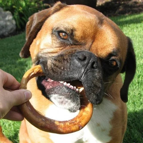 Natural 4" Bully Stick Rings for Dogs, 3 Count M1397