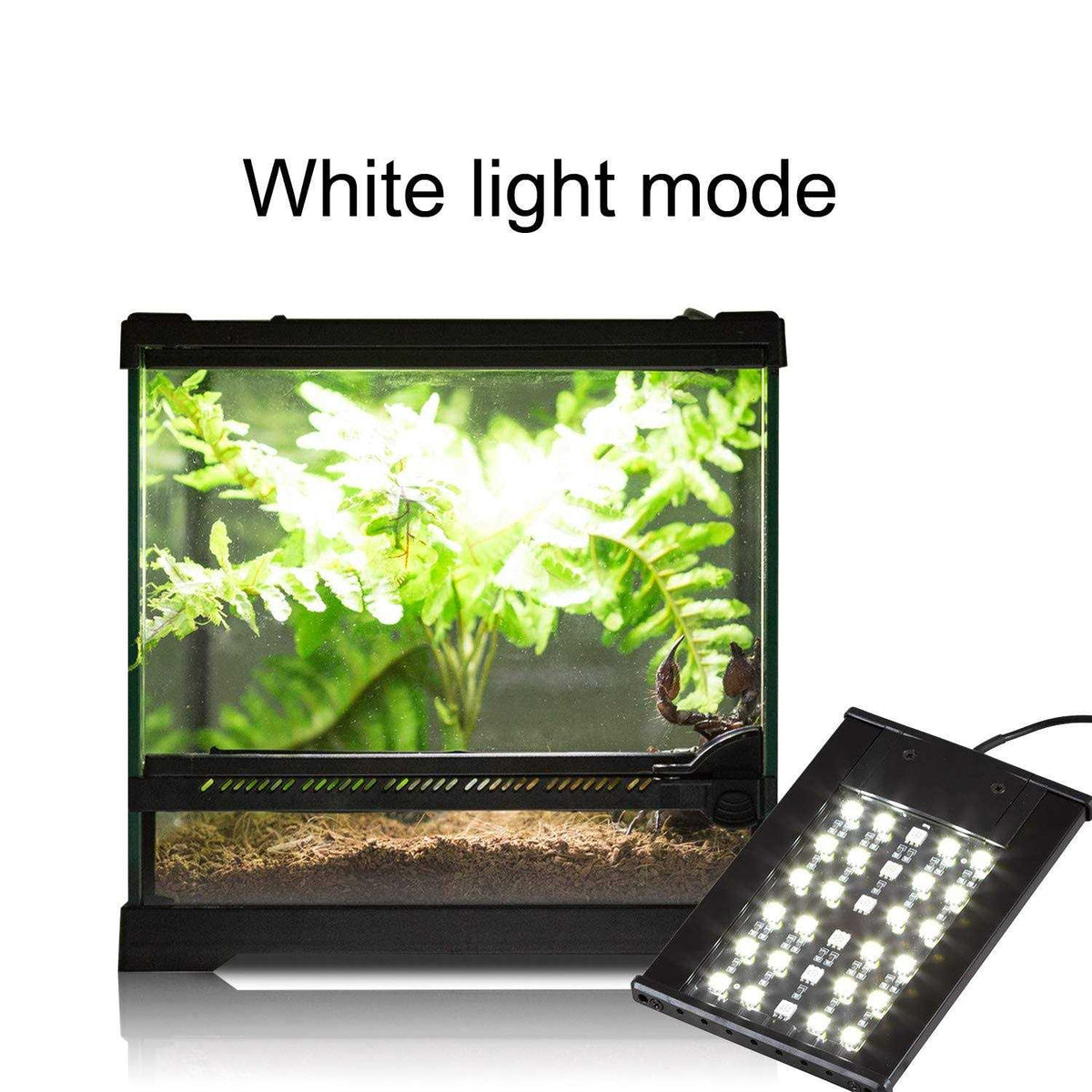 Reptile LED Light Hood O732