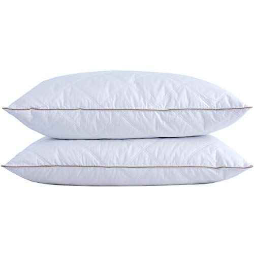 Goose Feathers and Down Pillow Set of 2 Queen F71021