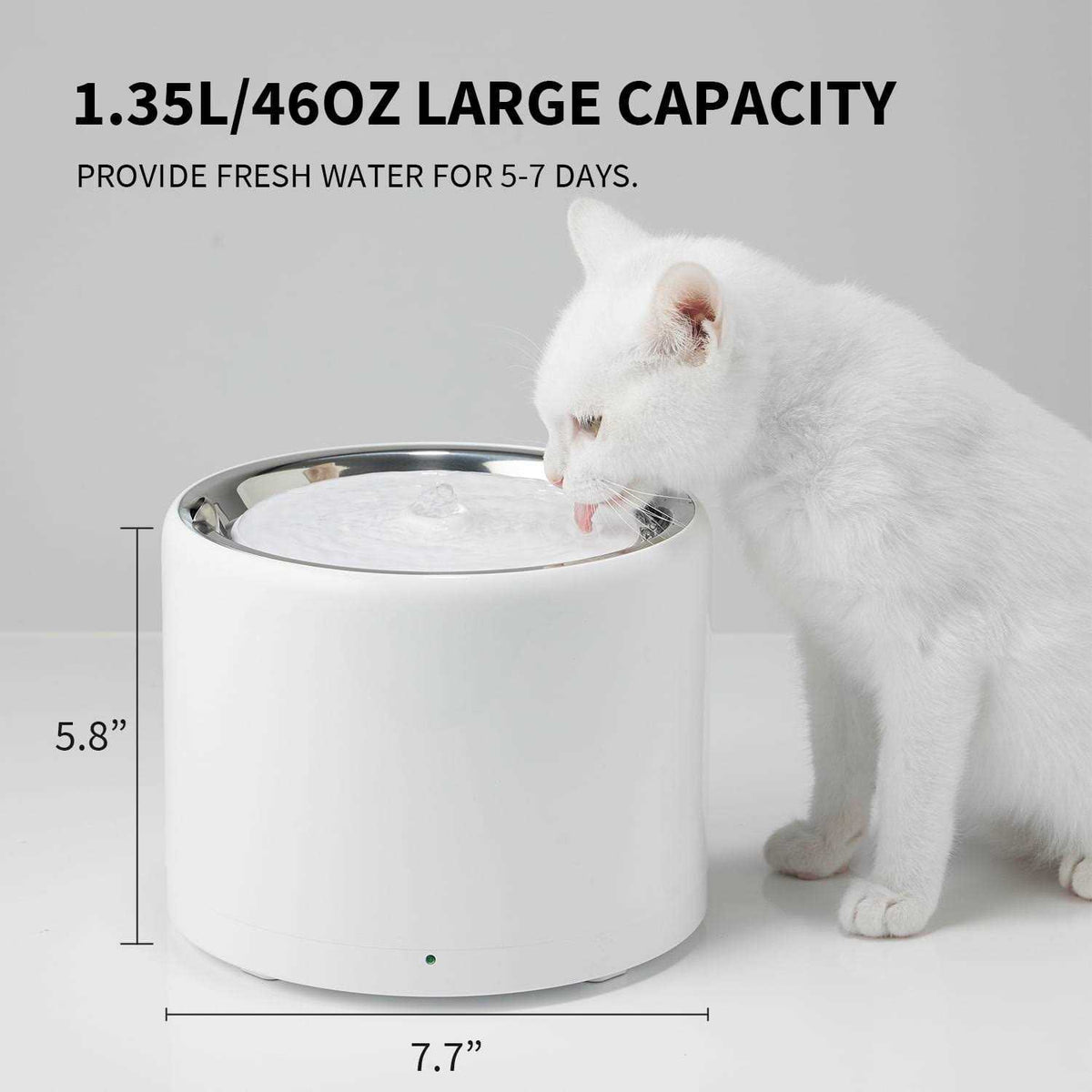 Pet Water Fountain D477171