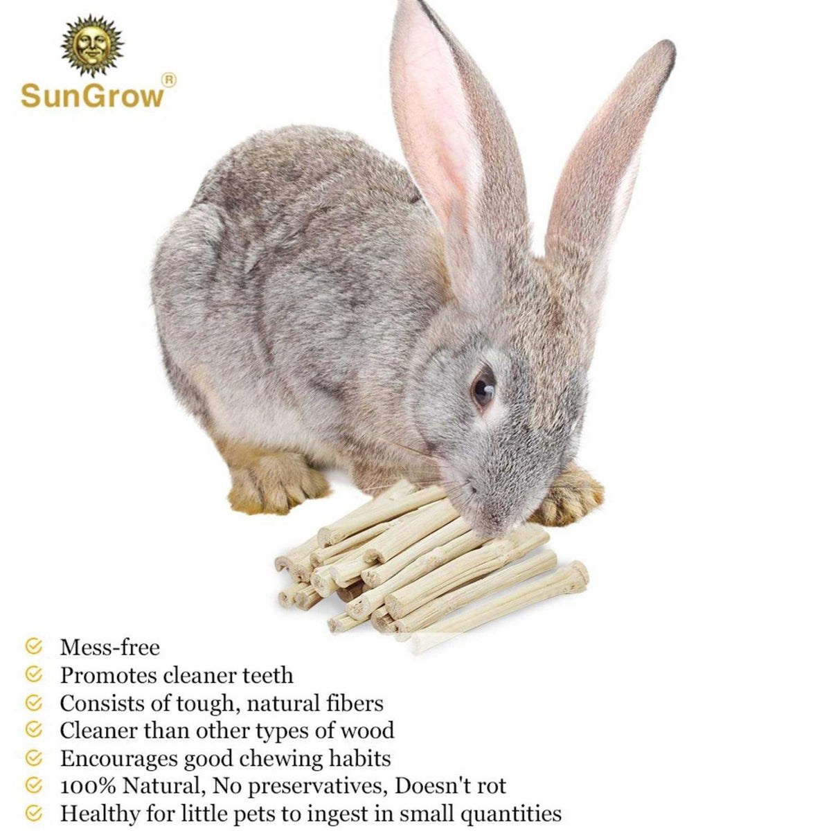 Sweet Bamboo Chew Sticks Small-Pet Dental Treats & Snacks B81015