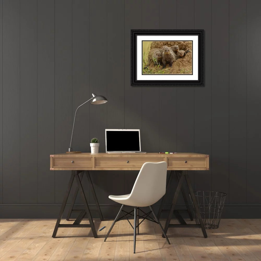 Black Ornate Wood Framed Art Print S196459