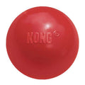 Dog Toy Ball I4159