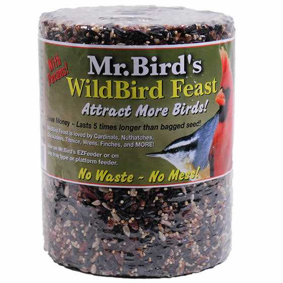 Woodpecker Feast Cylinder D9099