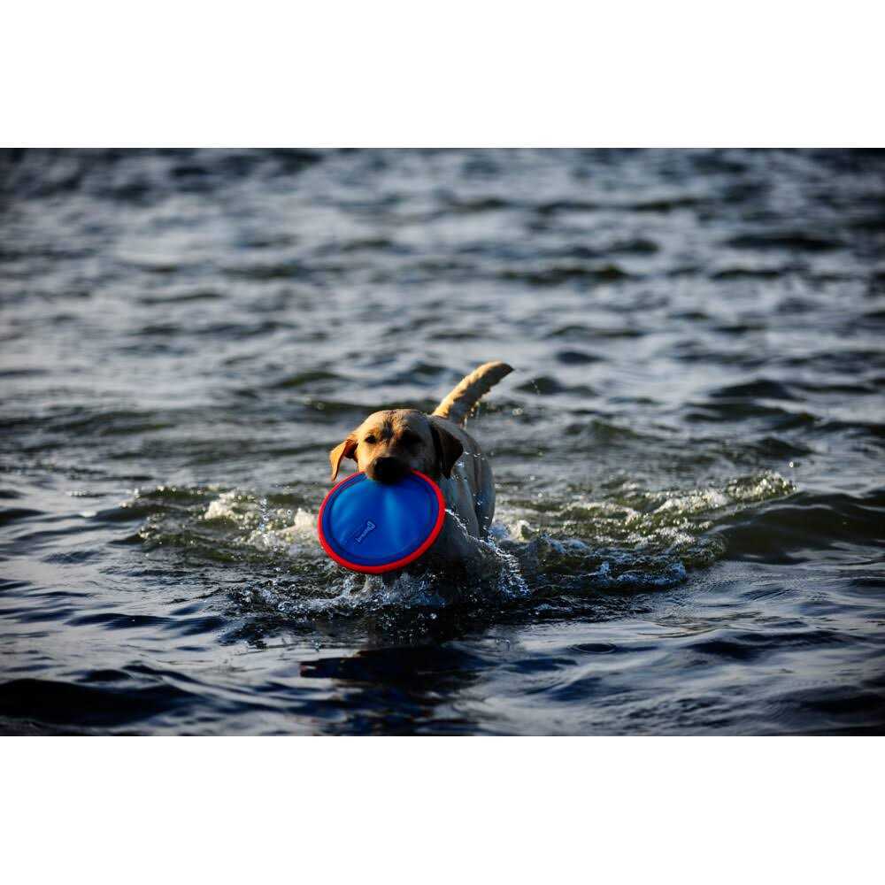 Dog Toy S40213