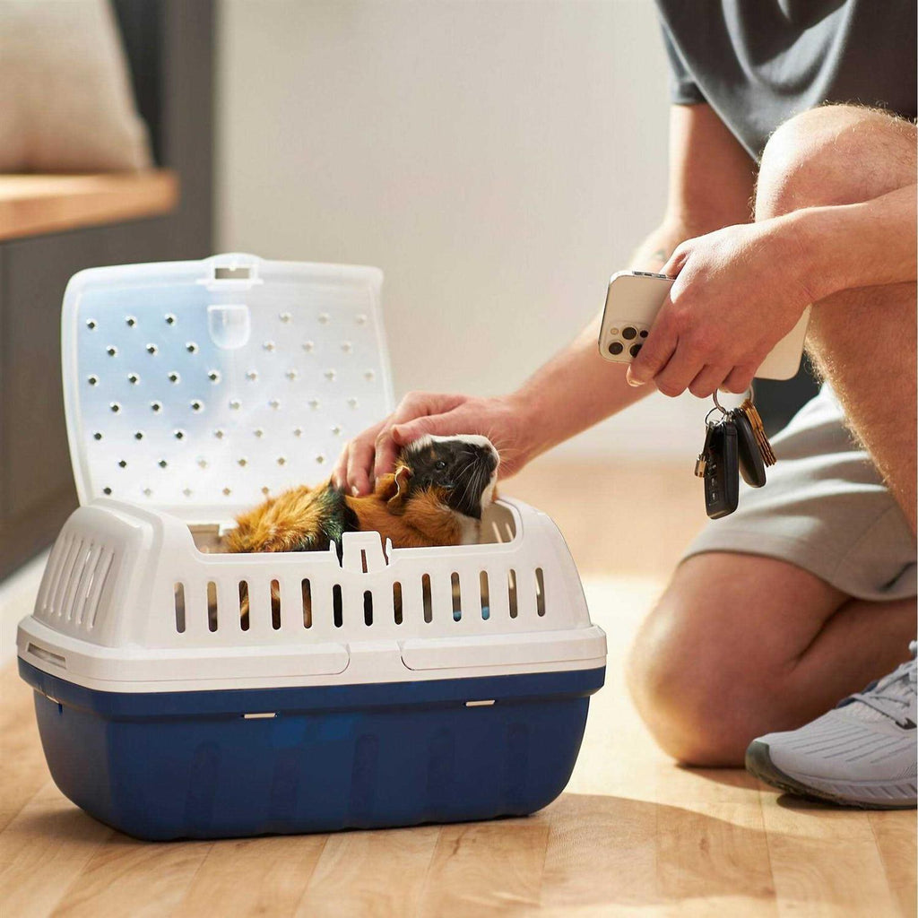 Small Pet Carrier N672796