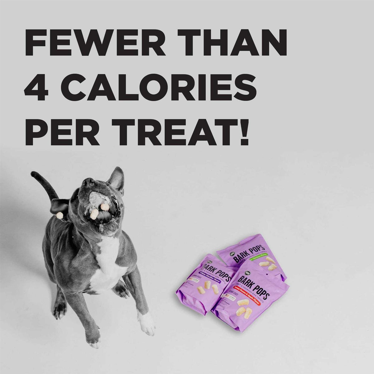 Dog Treats U181069