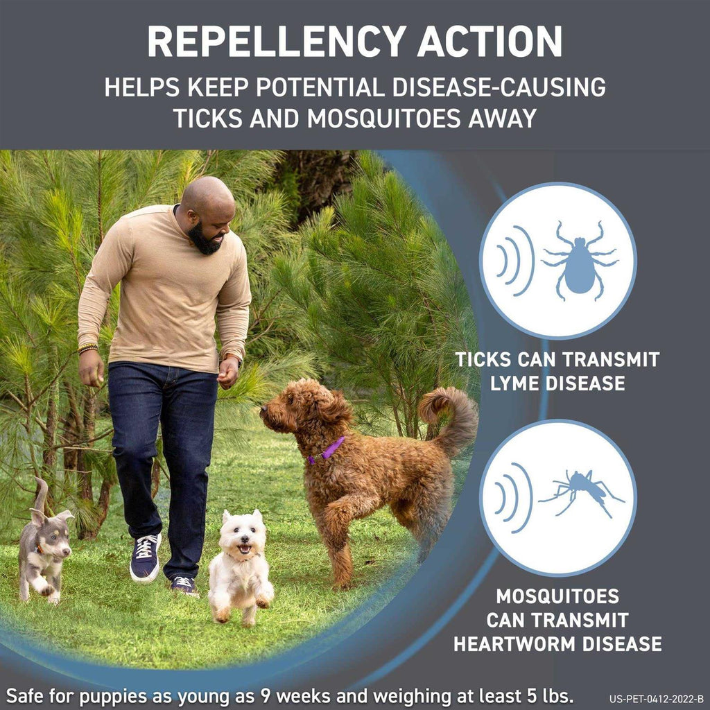 Flea & Tick Treatment for Dogs L872237
