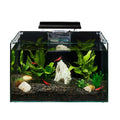 Aquarium B891931