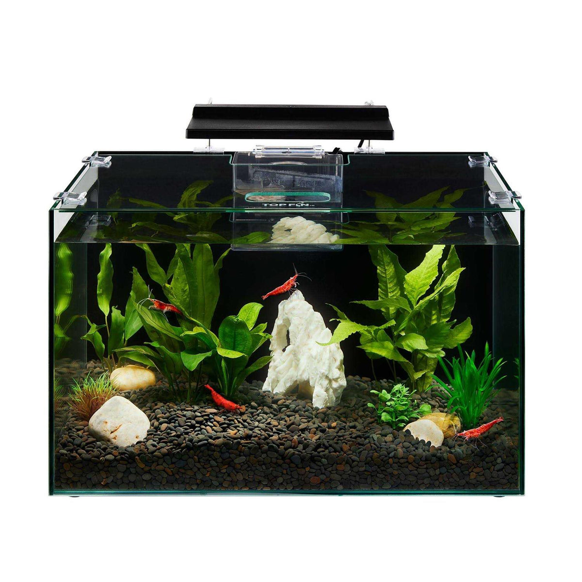 Aquarium B891931