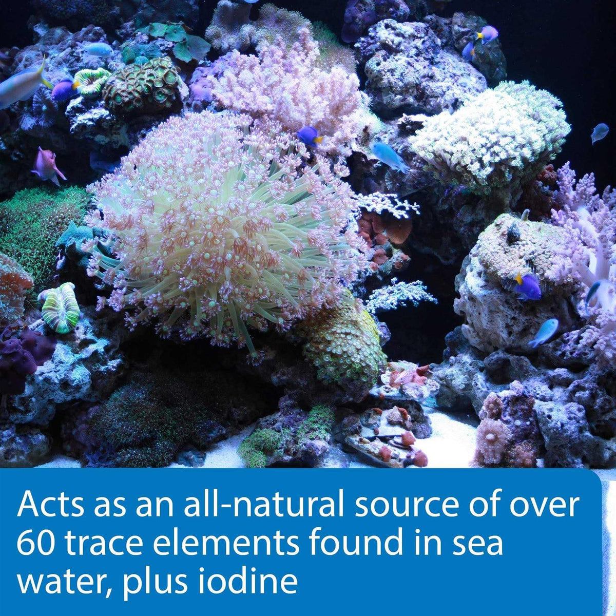 Aquarium Water Conditioner Z235