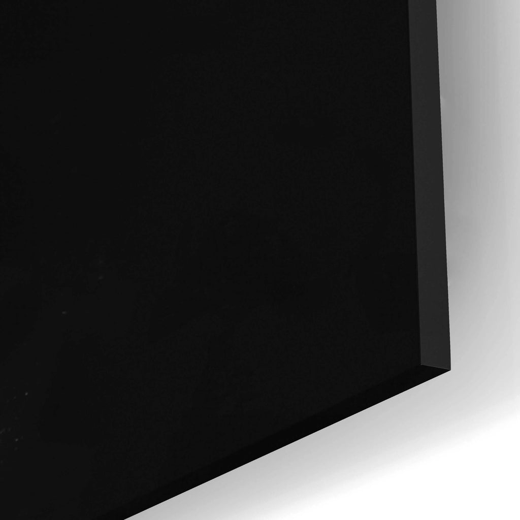 Acrylic Glass Wall Art 12"x16" A691
