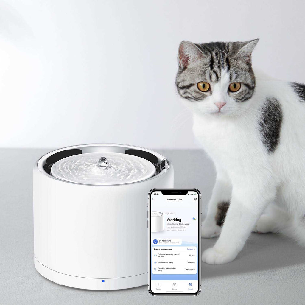 Pet Water Fountain D477171