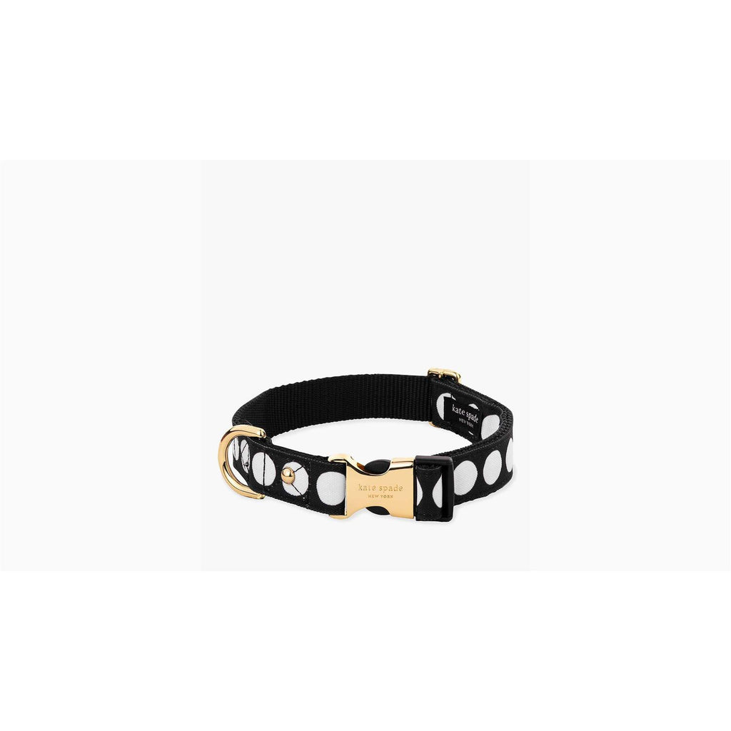 Dog Collar Z495