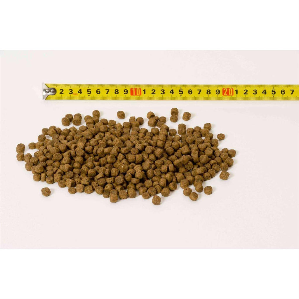 Dry Dog Food Z761