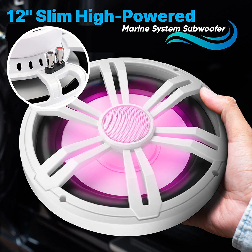 500W 4 Ohm Waterproof Marine Subwoofer C5281