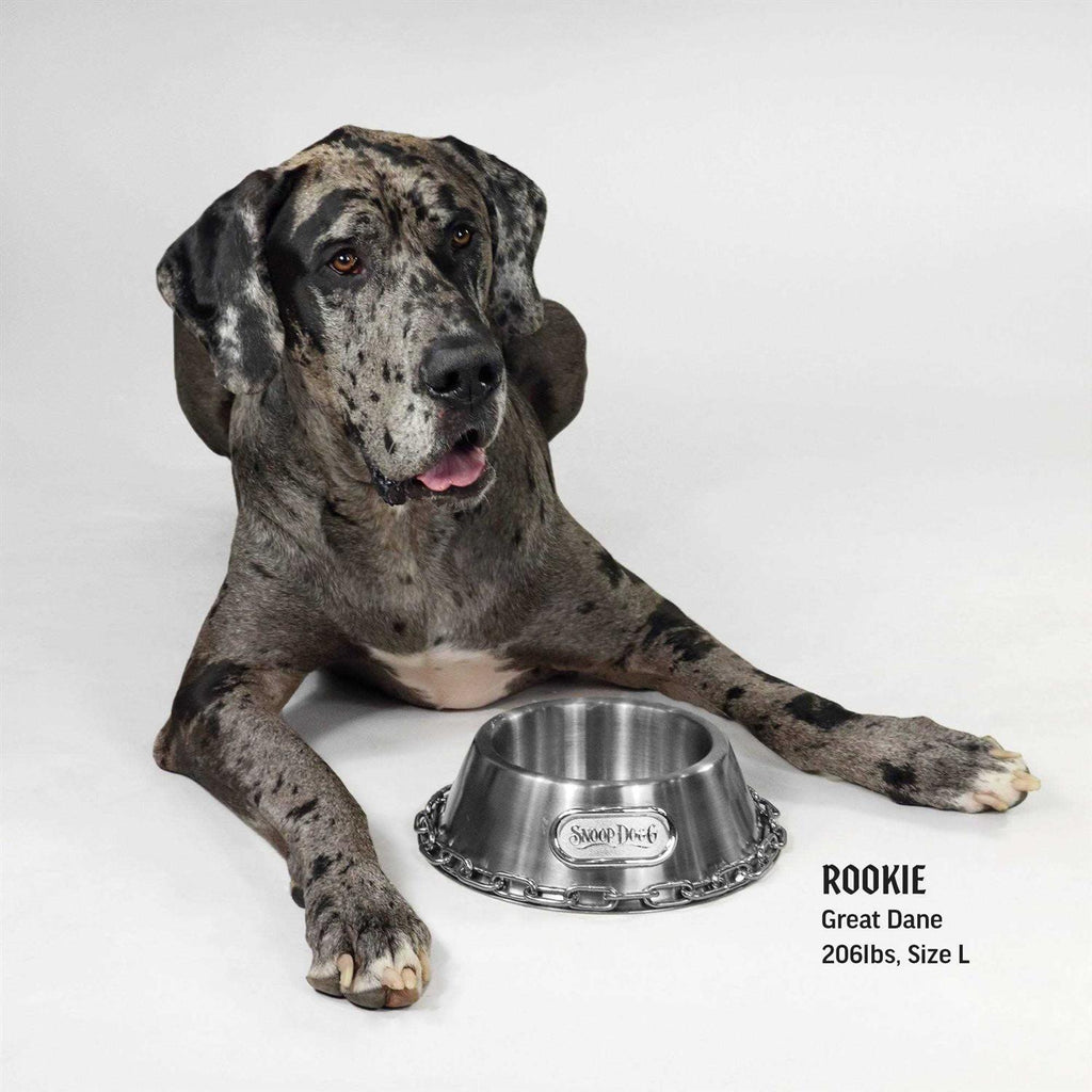 Pet Bowl B98348