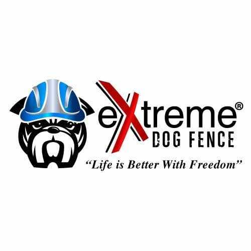 Electric Dog Fence Boundary Flags V68546