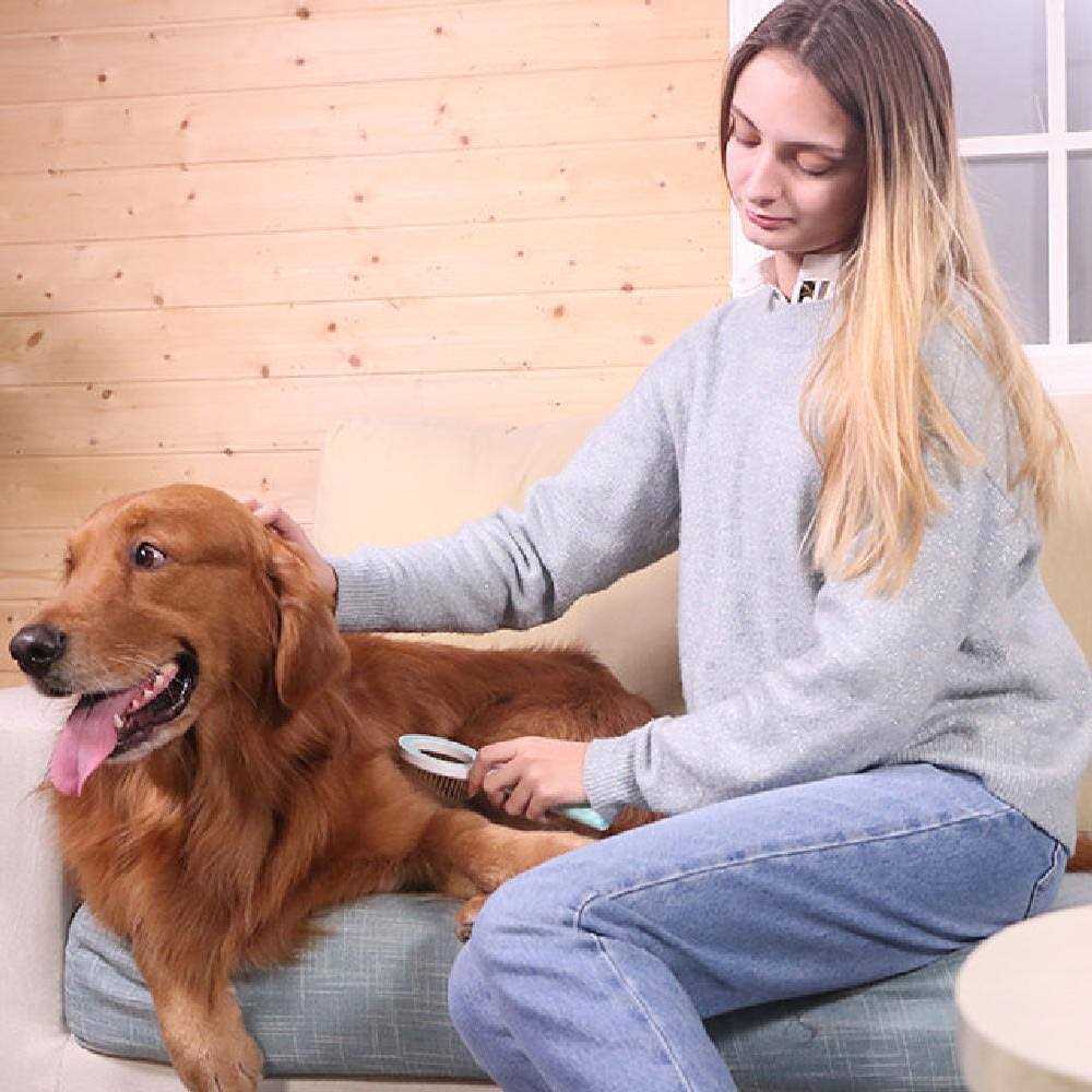 360 Degree Multi-Directional Pet Rake Comb B642