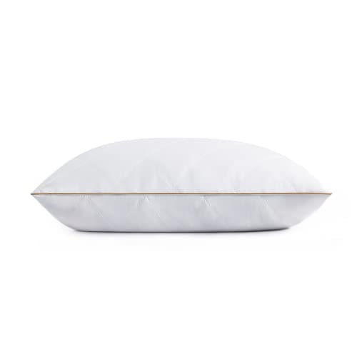 Goose Feathers and Down Pillow Set of 2 Queen F71021