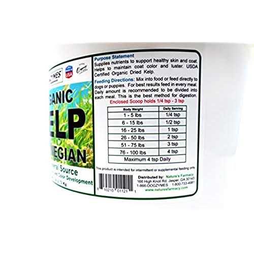 Organic Norwegian Kelp for Pets J194521