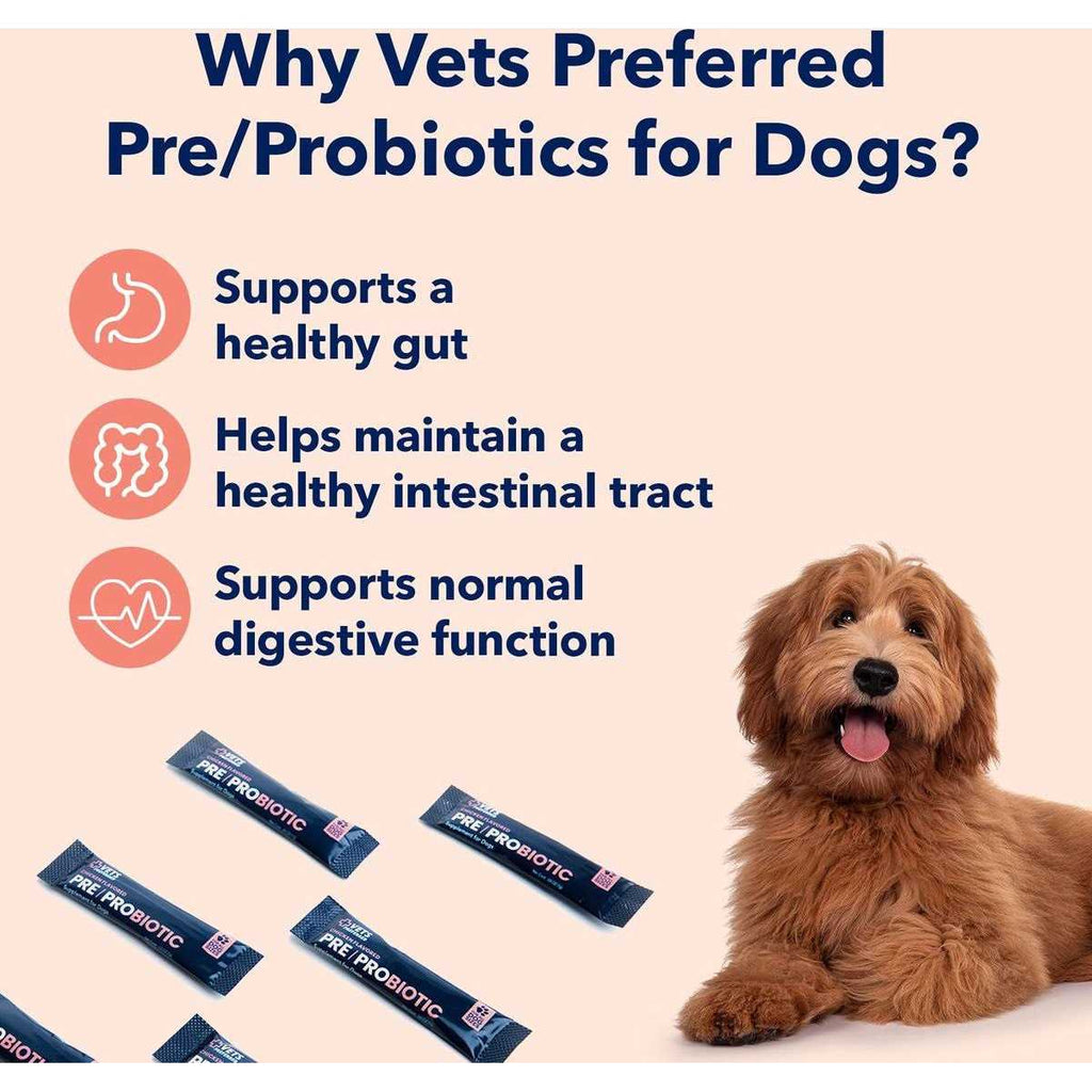 Chicken Flavored Pre-Probiotic Powder Supplement for Dogs 30 Sticks G4917