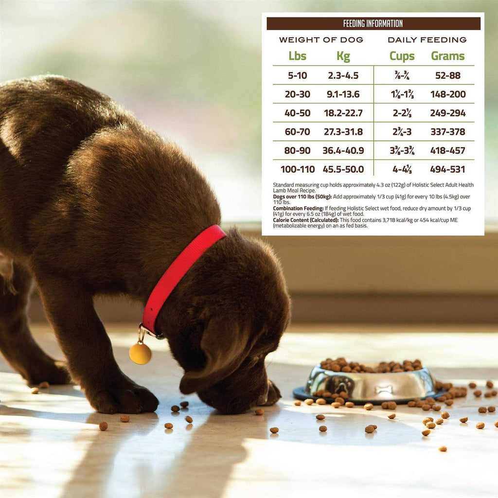 Lamb Meal Recipe Dry Dog Food H776701
