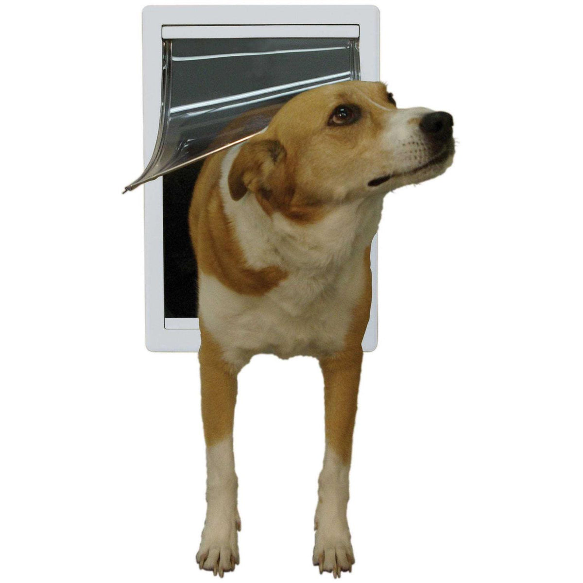 Plastic Pet Door K60852