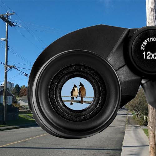 12x25 Compact Waterproof Binoculars M294