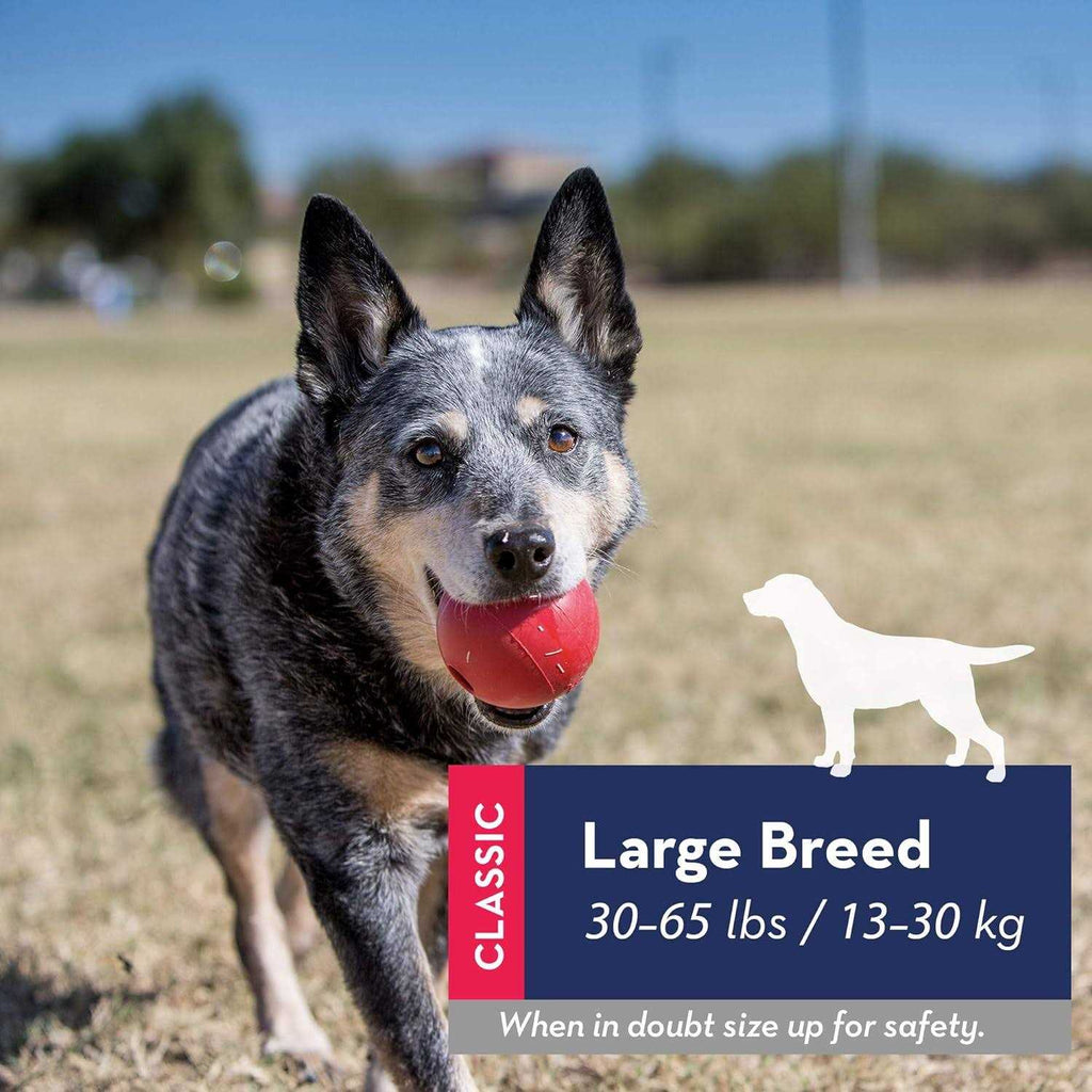 Dog Toy Ball I4159