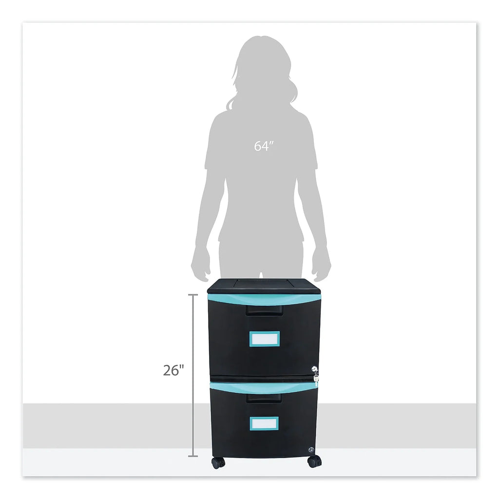 2-Drawer Mobile File Cabinet, Black H91150