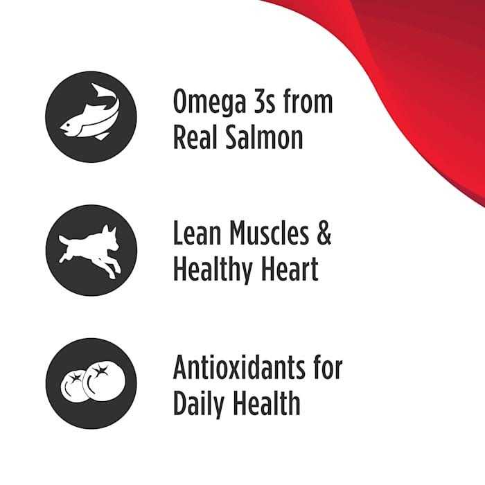 Grain Free Salmon & Sweet Potato Dry Dog Food X4698
