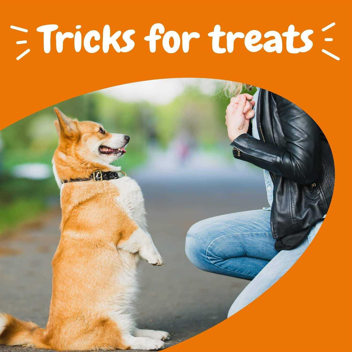 Training Treats for Dogs D71751