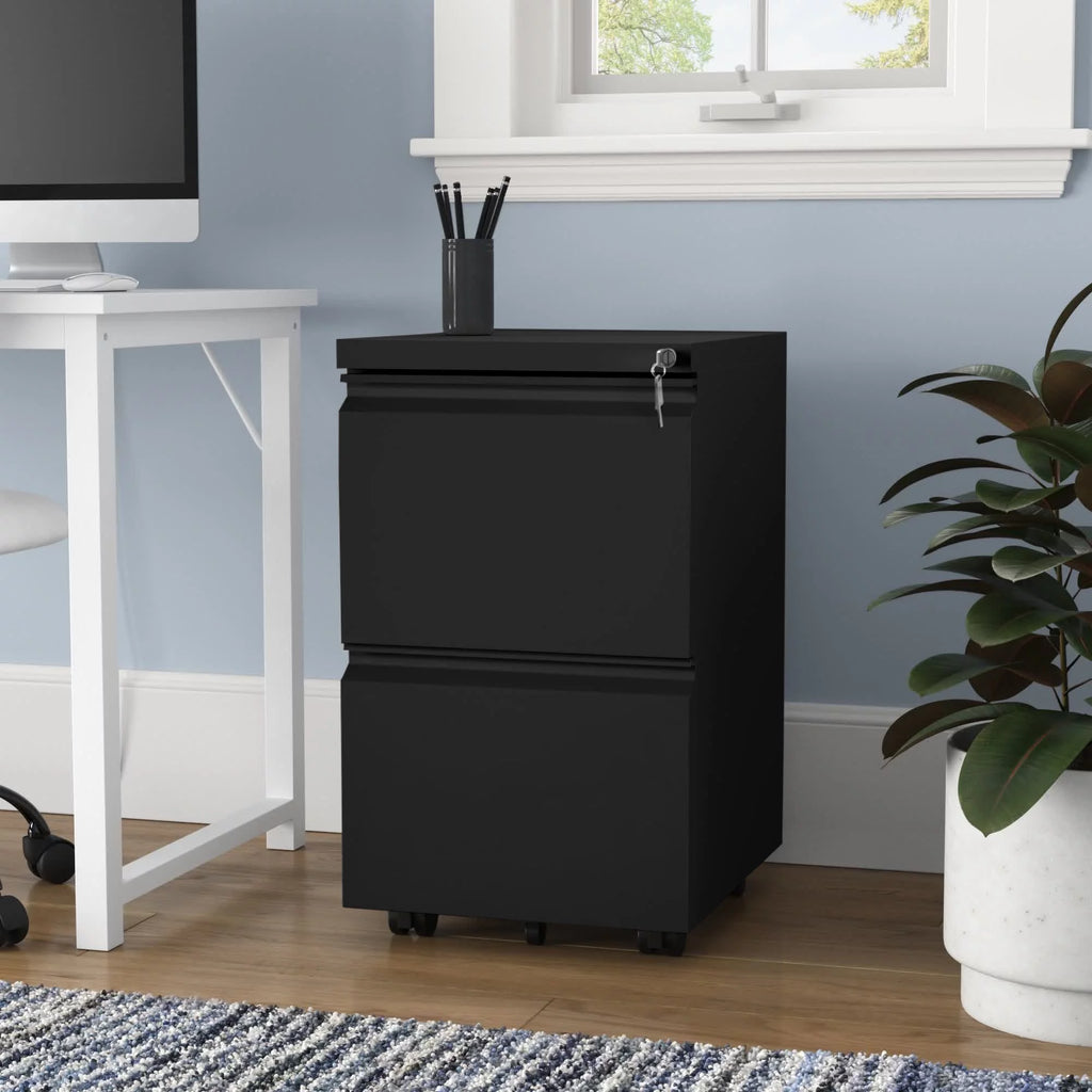 2 Drawer Locking Steel File Cabinet A574