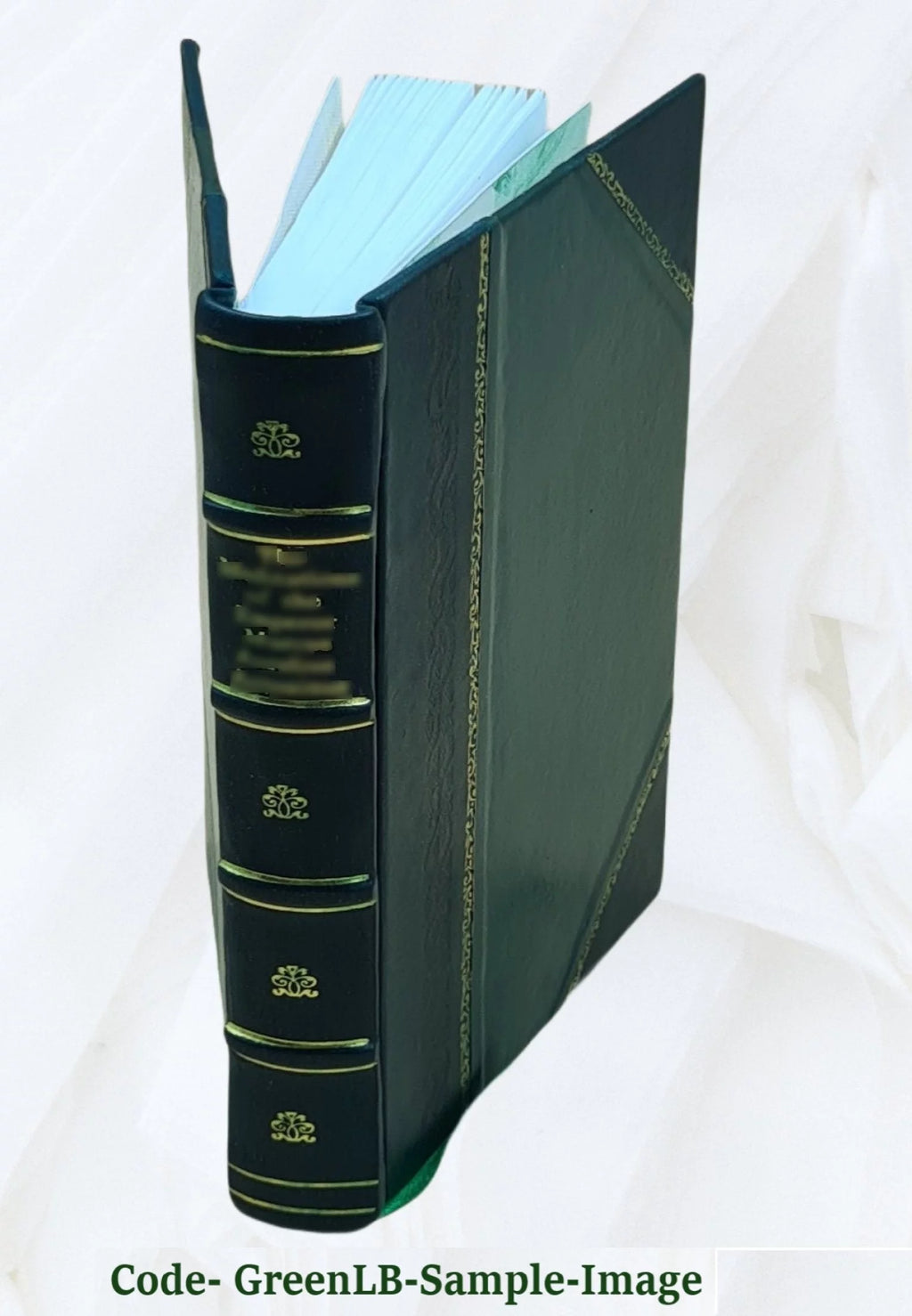 Leather Bound Book F59026